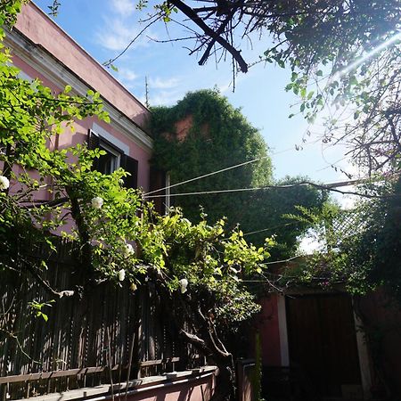 Terrazza Quintili - A Un Passo Dal Centro Di Roma Villa Exterior photo