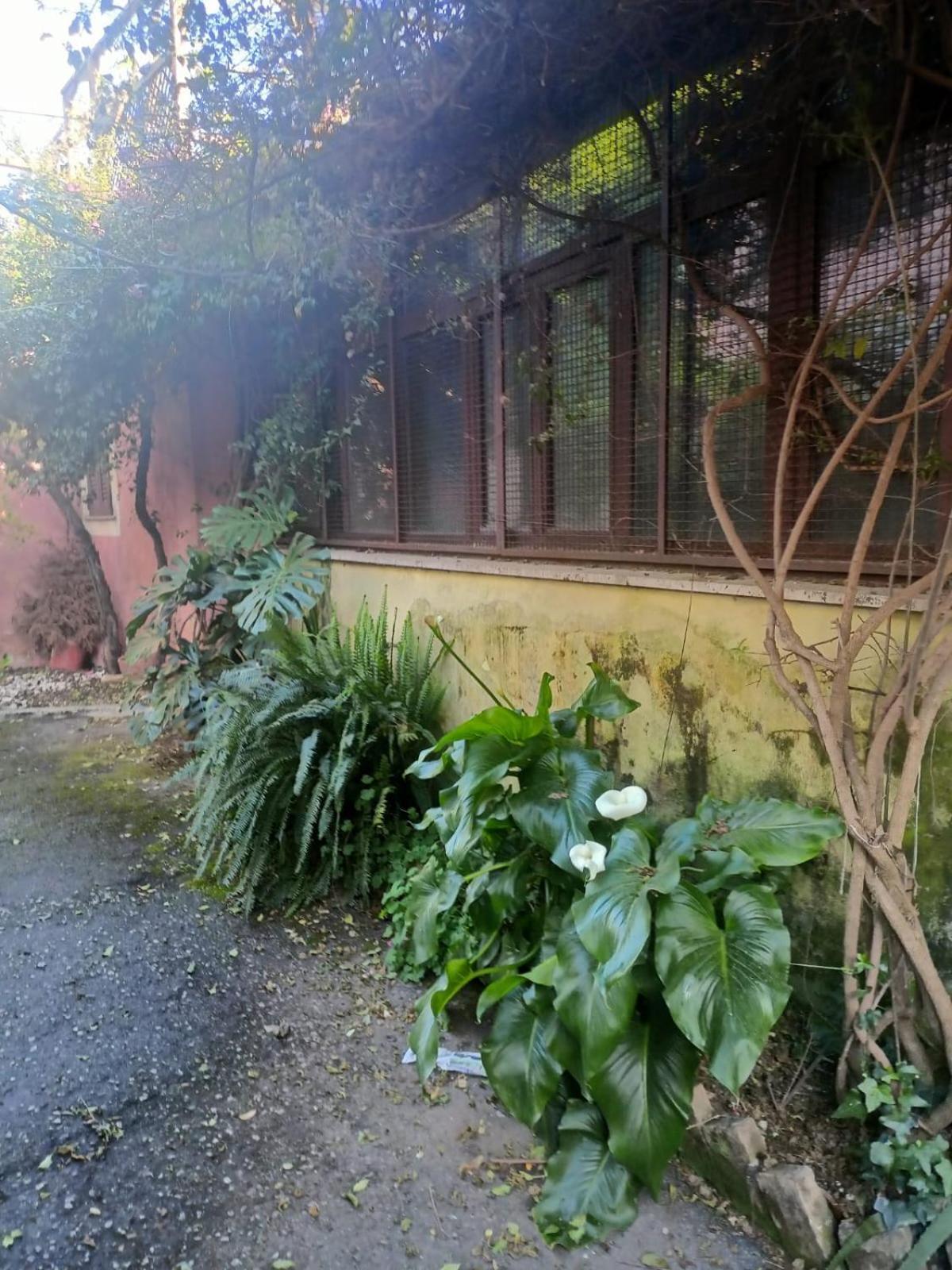 Terrazza Quintili - A Un Passo Dal Centro Di Roma Villa Exterior photo